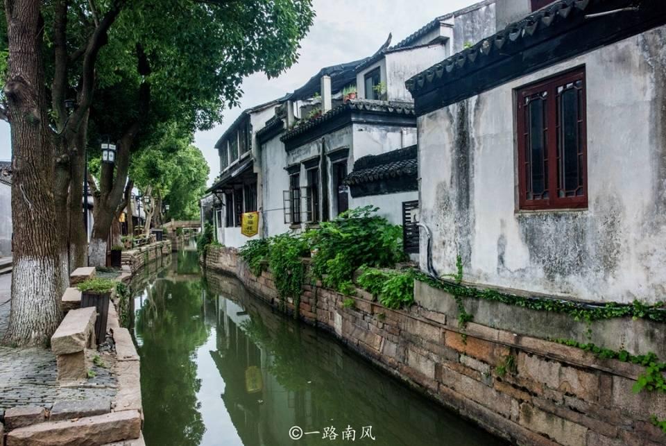 全环境立德树人|莱州市“家有名师”共享课新年开讲啦！